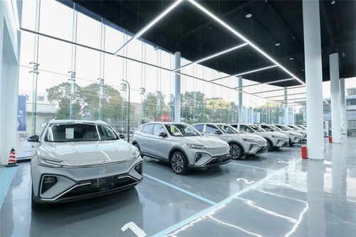 飛凡汽車的非凡服務 開啟高品質(zhì)個性化汽車服務新體驗