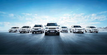 瀘州萬友公司 專業(yè)汽車服務，值得信賴的合作伙伴